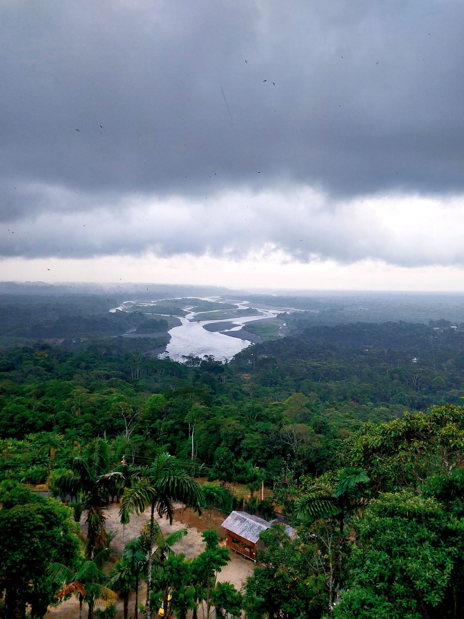 The river and the Amazon jungle from above